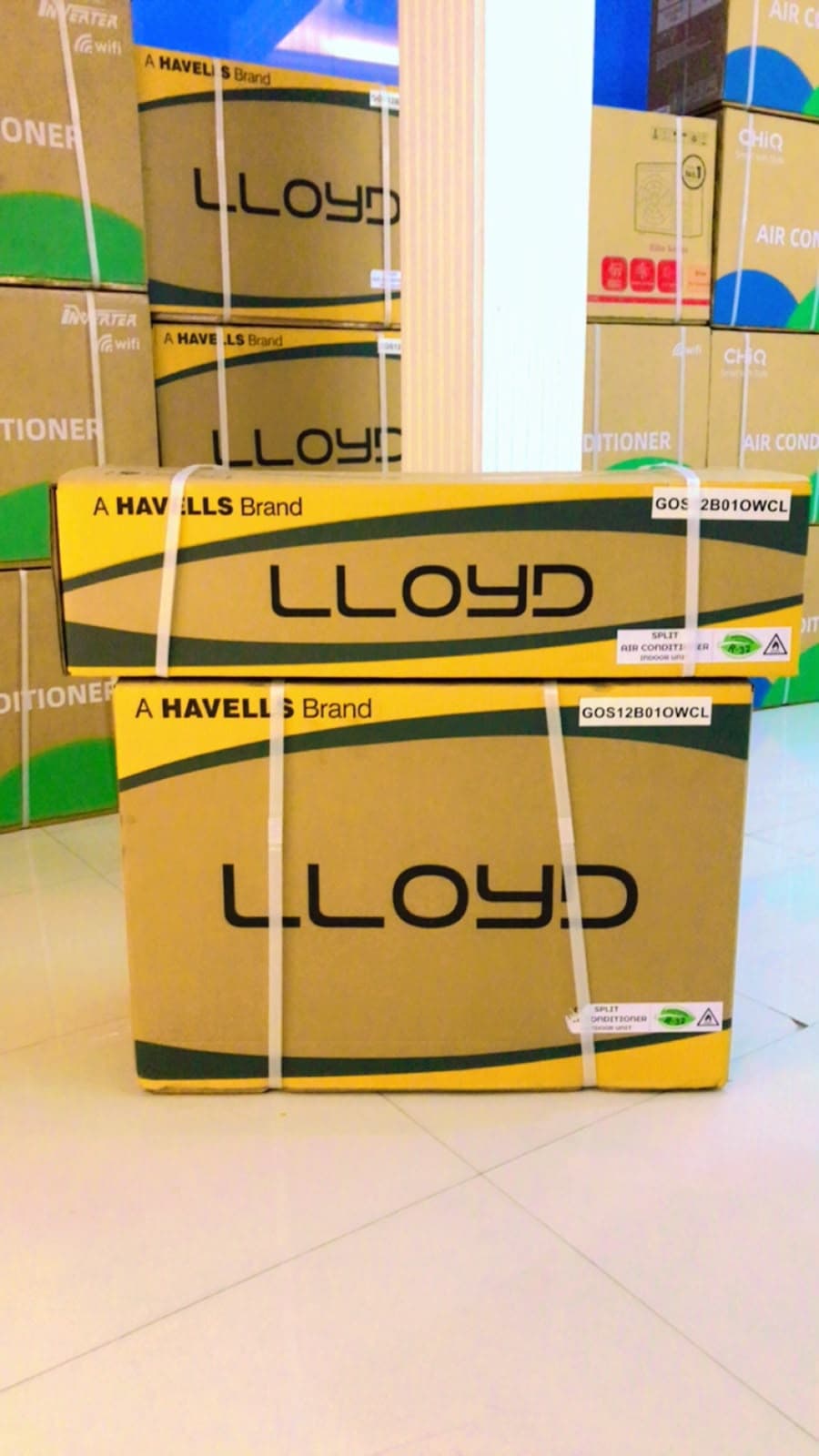 Lloyd Economical Inverter